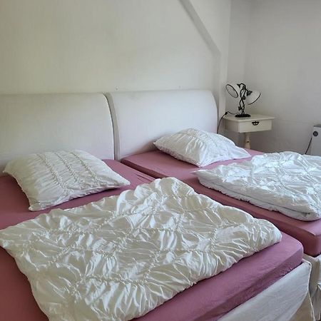 Apartamento Elbblick Königstein Exterior foto