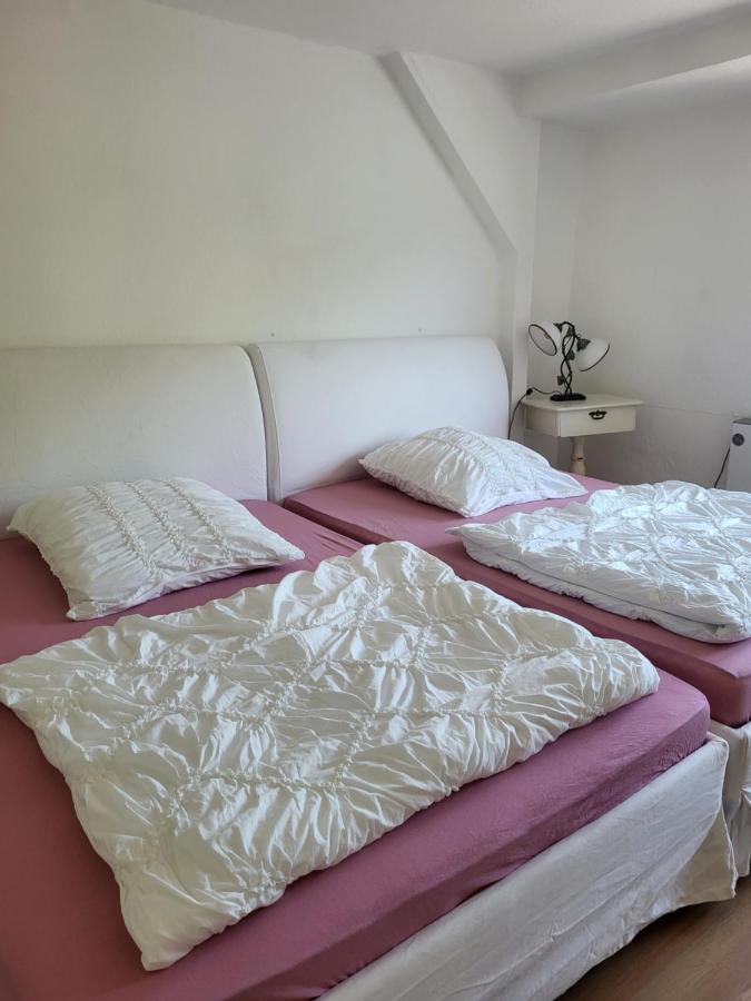 Apartamento Elbblick Königstein Exterior foto