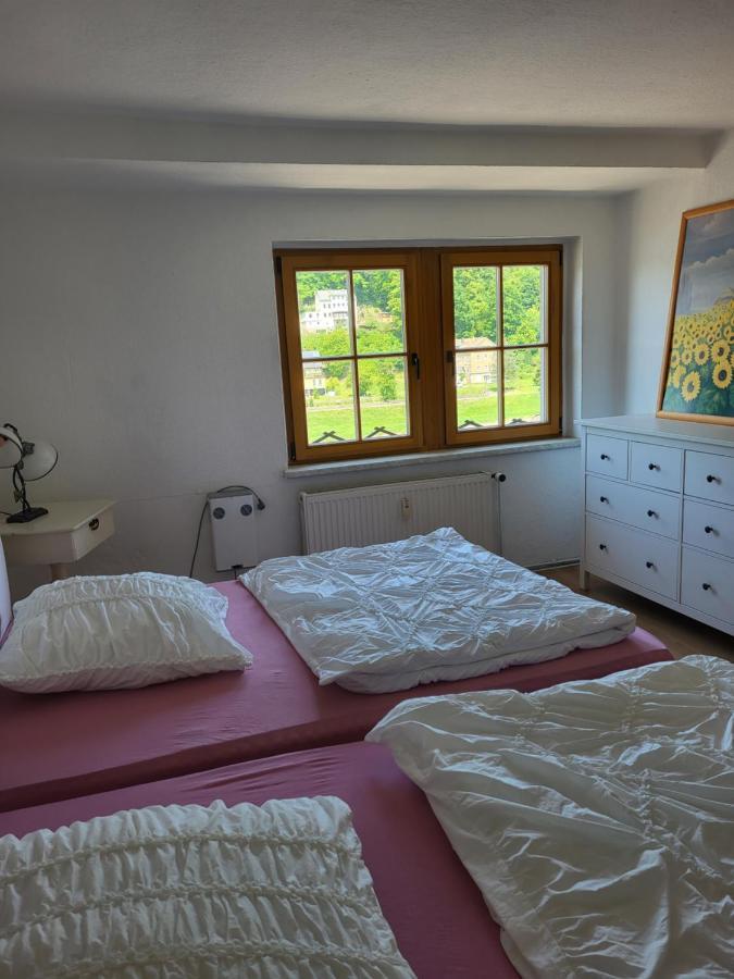 Apartamento Elbblick Königstein Exterior foto